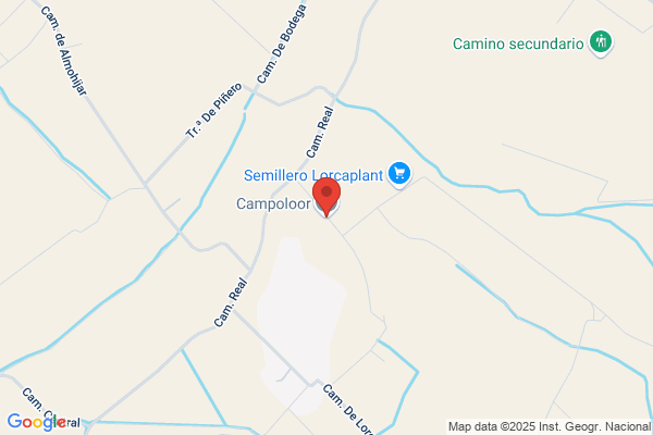 Campoloor