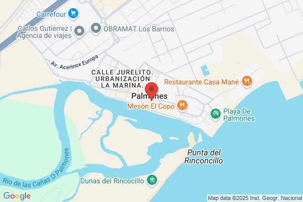 Restaurante Zoca Palmones