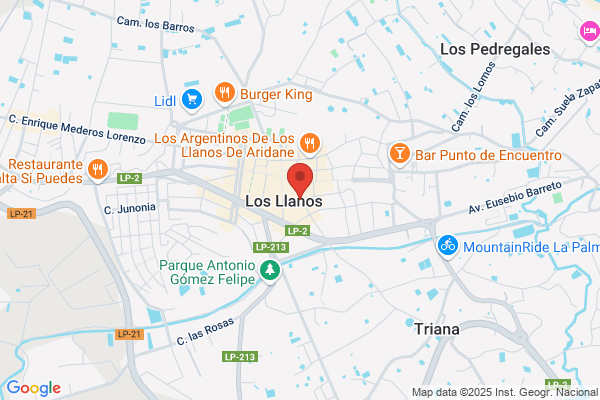 Teneinformatica Software S.L.