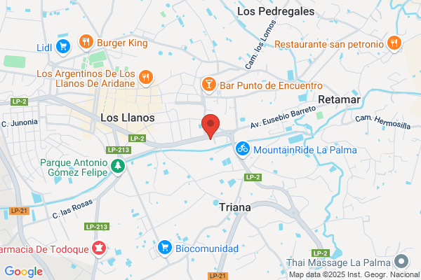 Centro De Formacion Para Vigilantes De Seguridad S.L.