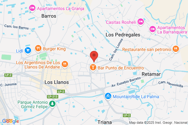 Perdigon Acosta e.