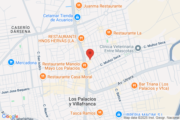 JOSE MATEO MEJIAS BEGINES