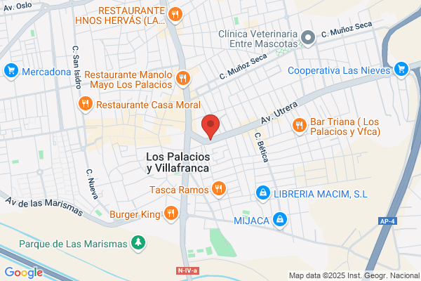 Autocares Antonio Moreno Algarín