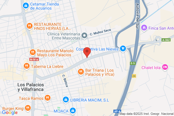 Amuedo Mayo m.