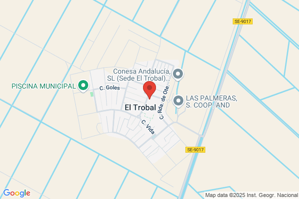 Colegio Publico Las Palmeras