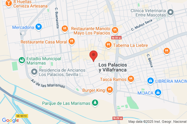 Gesem Los Palacios S.L.