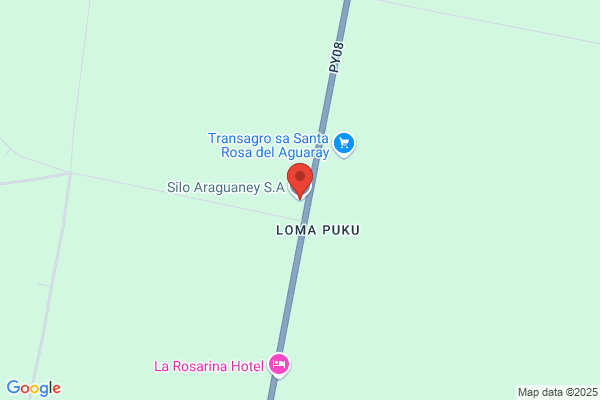 Araguaney S. A.