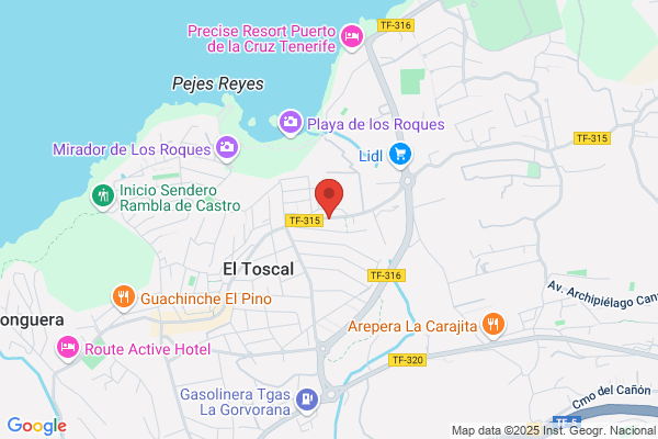 A.S.E.S.Generales De Canarias S.L.