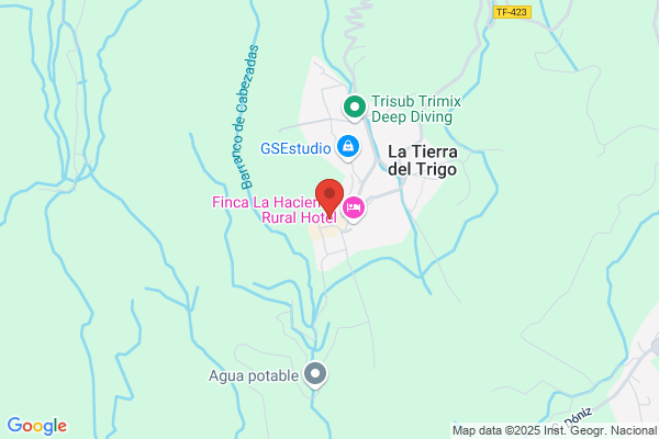 Colegio Publico Tierra Del Trigo