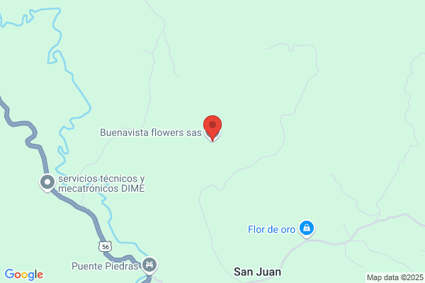 Buenavista Flor S.L.