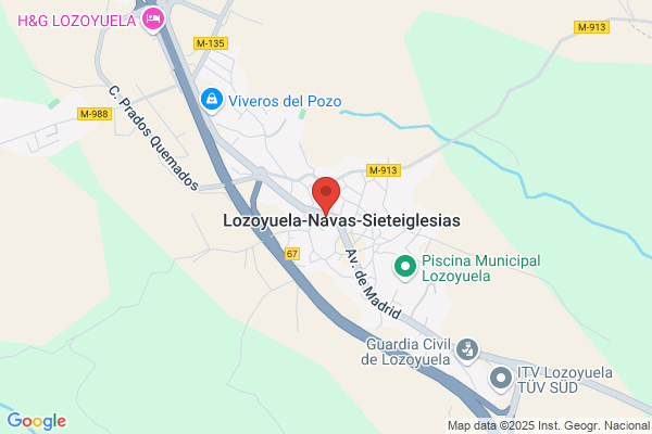 Los Manchegos Carnes Y Pollos S.L.