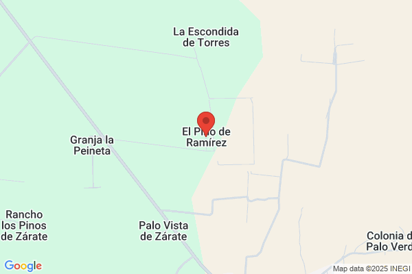 Ramirez Del Pino f.