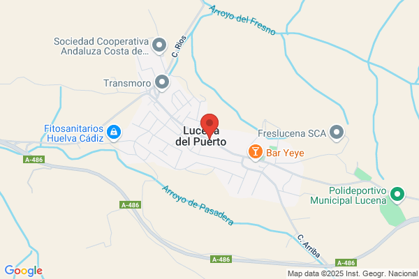 Papelería Pimpoyis