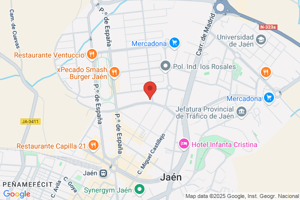 Asociacion Del Sindrome De Down Ciudad De jaen