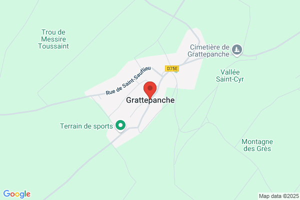 Gratte 21