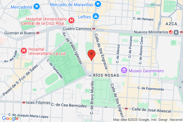 Federacion Española De Instituciones Para El Sindrome Down