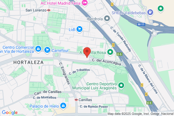 Comite Olimpico Español