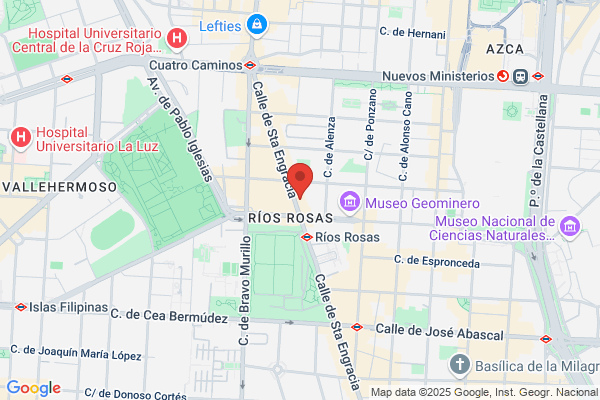 Hyundealer Madrid S.L.