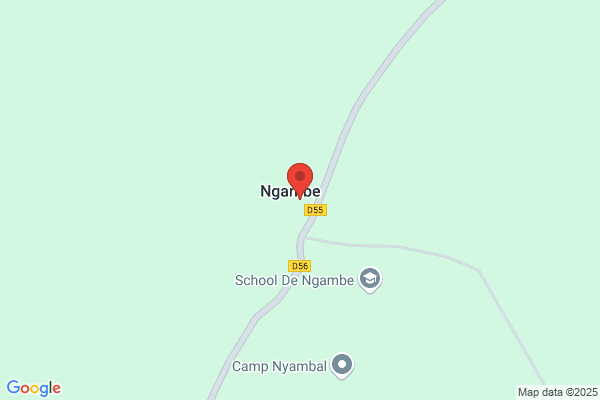Enangue Ngamby m.