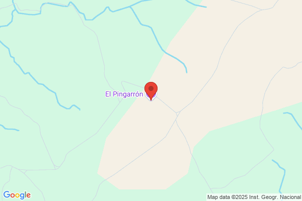 Pingarron Miron r.