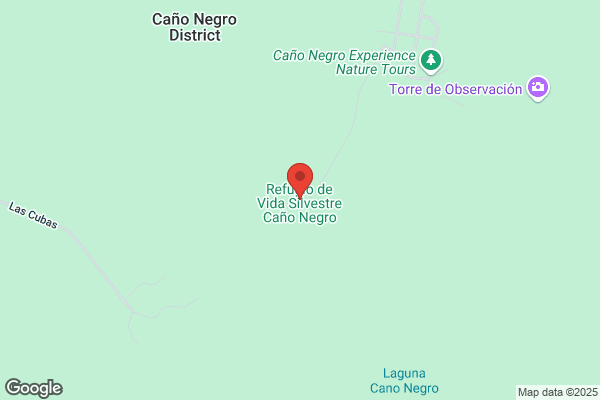 Cano Negro j. M.