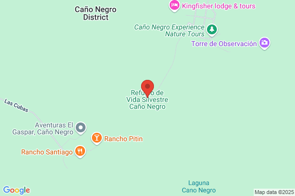 Cano Negro j. M.