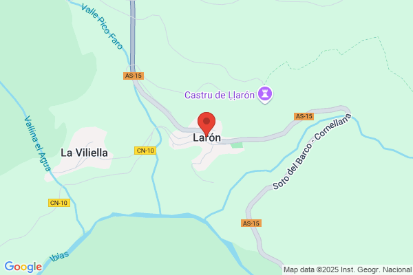 Laron S. A.