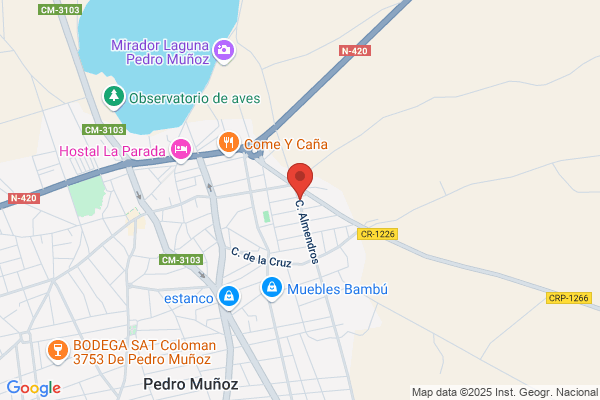 Olmedo Manzanares p.