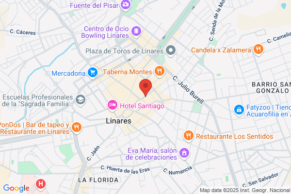 Linares Miguel m.