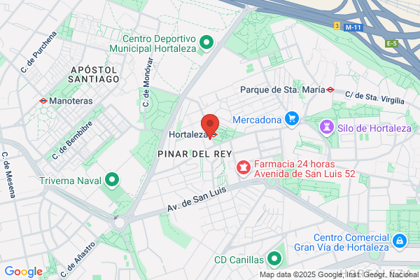 El pintor De Madrid
