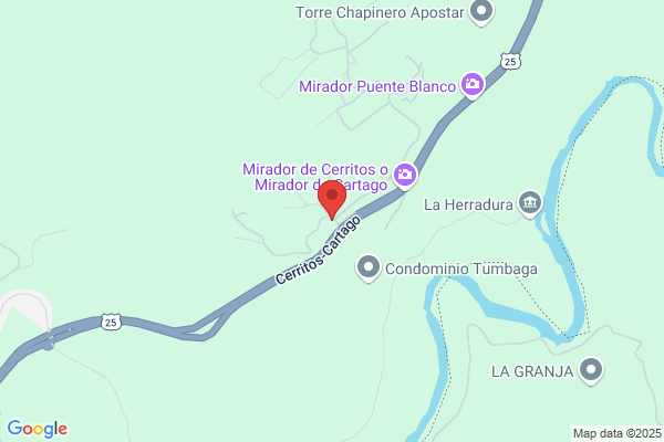 Pereira Cortijo d.