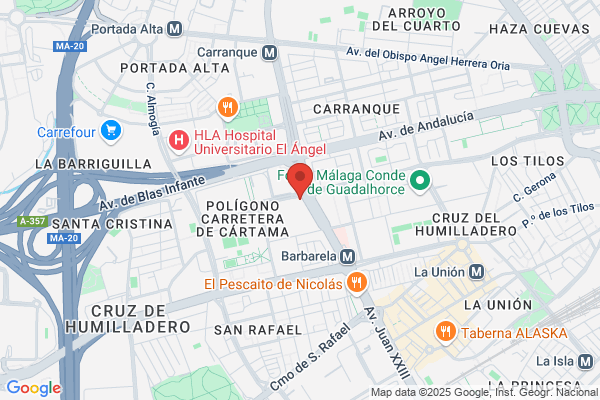 Plataforma Del Voluntariado Social De Malaga