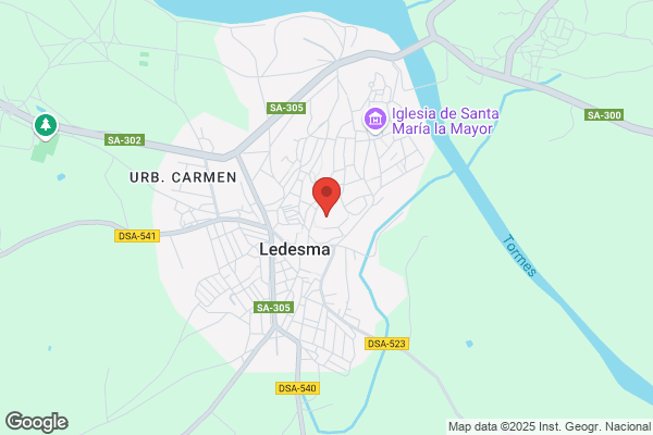 Castillero Ledesma r.