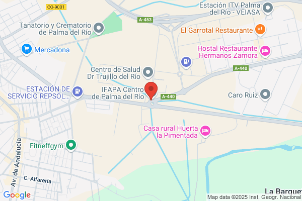 Servicio Andaluz De Salud - Centro Palma informacion