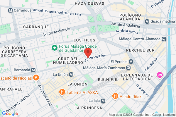 mendozaypalomo.com