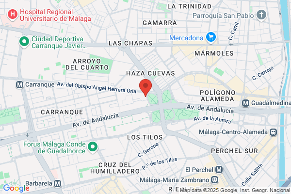 Asociacion Malagueña De Jugadores En Rehabilitacion