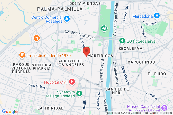 Asociacion Sindrome De Down De Malaga Nueva esperanza