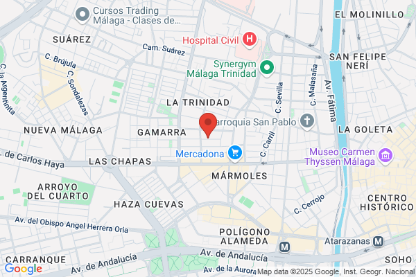 Malaga Instituto Management S.L.