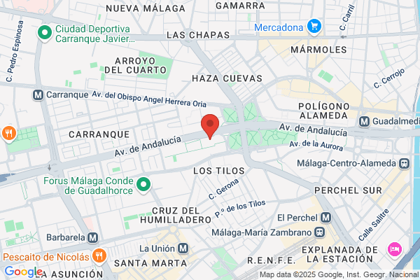 Palma Amaya a.