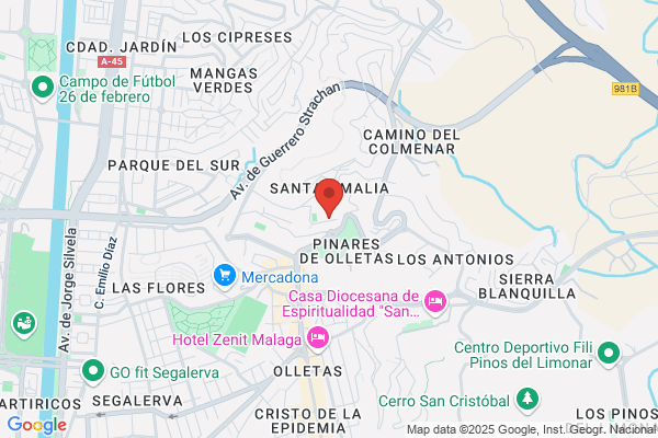 Consulting Y Aplicaciones Informaticas S.L.