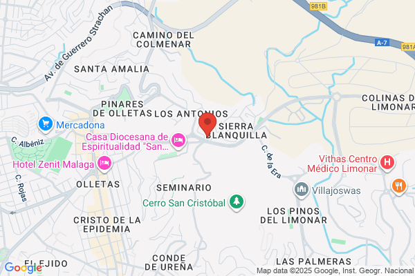Falcon Ternero j.