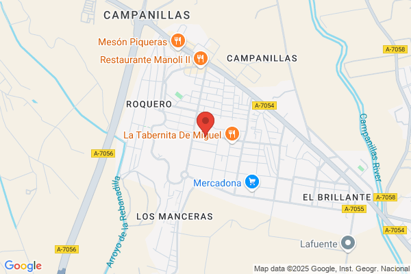 Reprografias Y Suministros Del Sur S.L.