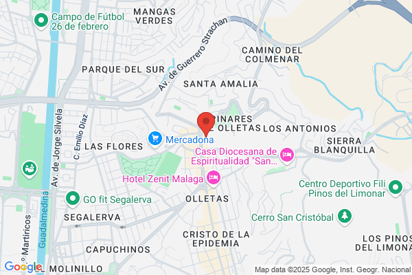 Empresa Municipal De Aguas De Malaga S.A.