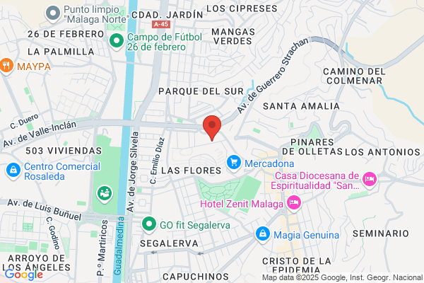 Servicios Auxiliares Las Nieves S. L.