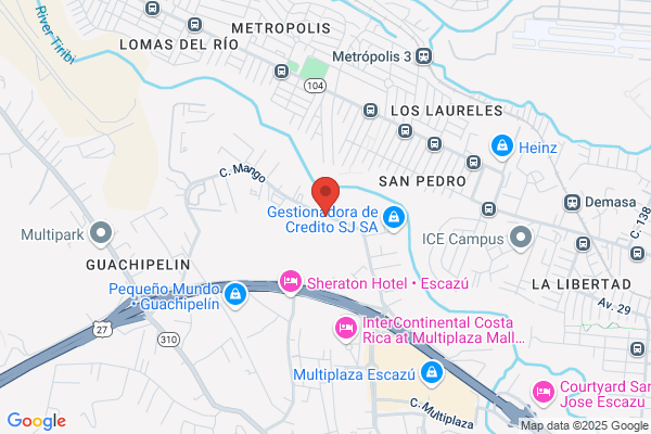Centro De Investigación Y Servicios Privados