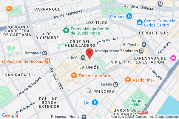 Zardoya Otis S.A.