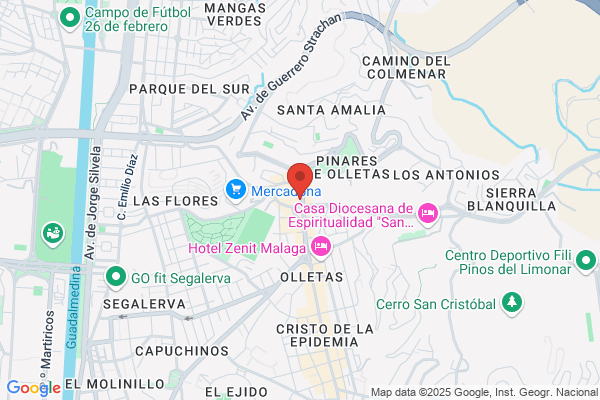 Autoescuelas Malagueñas