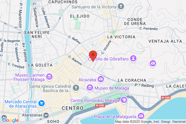 Instituto De Español Pablo Picasso S. A. l.
