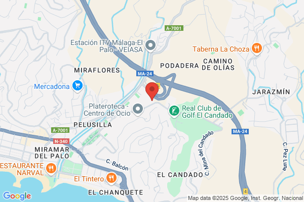 Ies El Palo