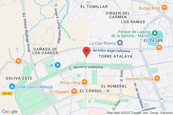 Maderoterapia en Málaga